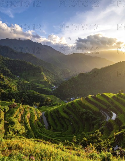 Early morning light bathes Philippines rice terraces cascading down mountain slopes, beautiful