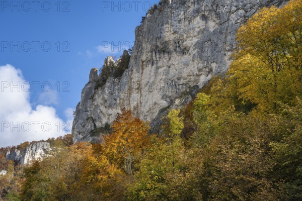 Distinctive Jurassic limestone cliffs in the upper Danube Valley, surrounded by autumn vegetation,