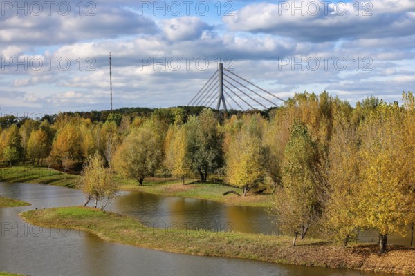 Wesel, Lower Rhine, North Rhine-Westphalia, Germany - autumn on the Lippe, trees with colorful