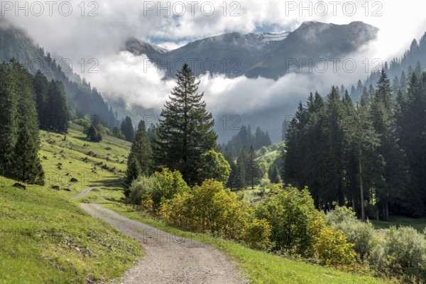 Hiking trail in the Dietersbachtal from Gerstruben to Alpe Dietersbach, Nebelschwanden hang in the