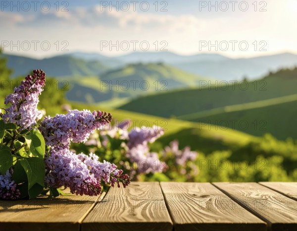 Beautiful Spring Lilacs Bloom Over Wooden Table with Rolling Hills in Background, sunrise at