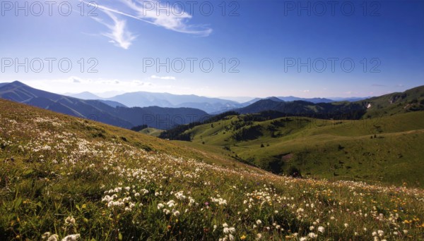 Fresh summer hilly Landscape with blooming Meadow, green plants, Blue Sky with cloudy sky, serene