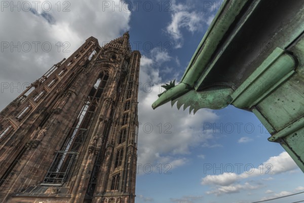 Strasbourg's Gothic cathedral stands majestically under a cloudy sky. In the background is an