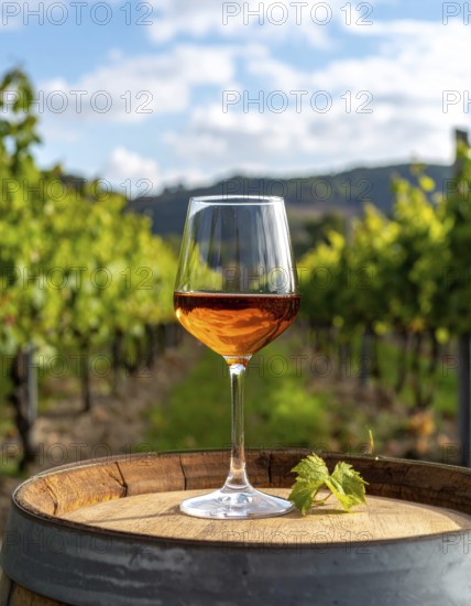 A glass of 10-year-old tawny wine placed on a barrel in a vineyard restaurant, vineyard landscape