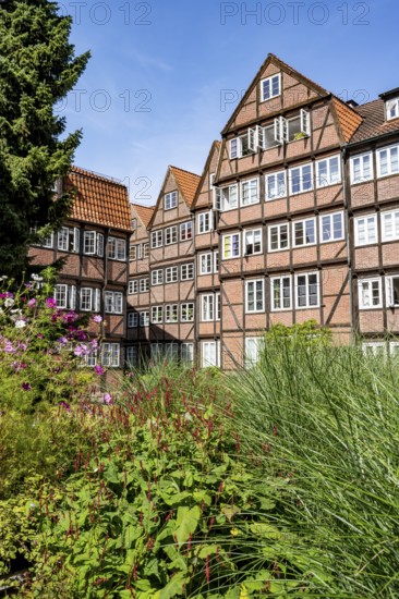 Facades of the historic brick buildings, inner courtyard, view over the city, Peterstraße,