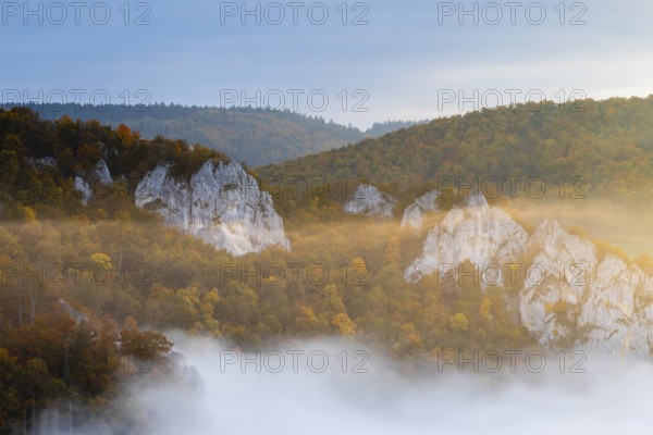 View from the Knopfmacherfels into the Danube valley, limestone rock, rock face, mixed forest,
