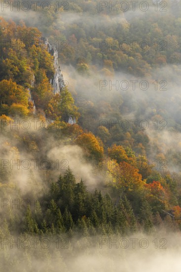 View from the Knopfmacherfelsen into the Danube valley, limestone rock, rock face, mixed forest,