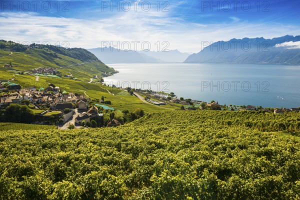 Picturesque village in the vineyards by the lake, Epesses, Lavaux, UNESCO World Heritage Site, Lake