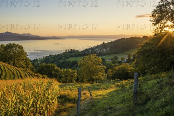 Panorama, Lake and mountains, Tour-de-Gourze, Riex, Sunset, Lavaux, UNESCO World Heritage Site,