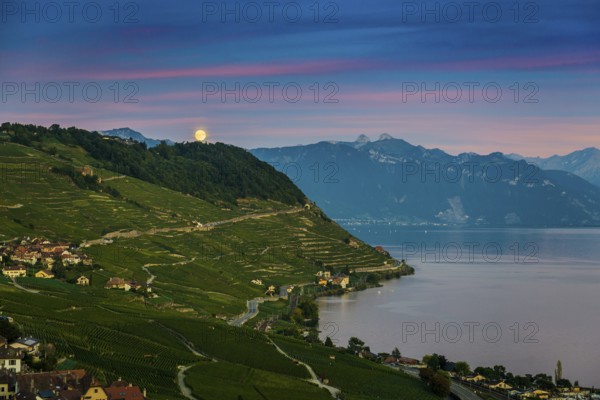 Picturesque village in the vineyards by the lake, Epesses, sunset, full moon, Lavaux, UNESCO World