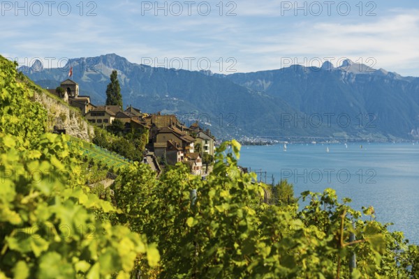 Picturesque village in the vineyards by the lake, Saint-Saphorin, Lavaux, UNESCO World Heritage