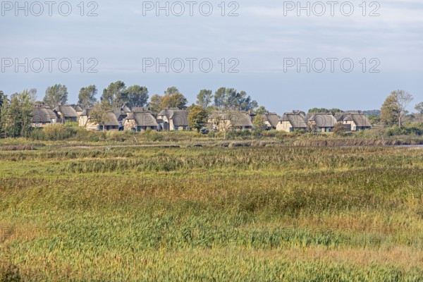 Holiday village Reetdorf Geltinger Birk, Geltinger Birk nature reserve, Geltinger Bucht,
