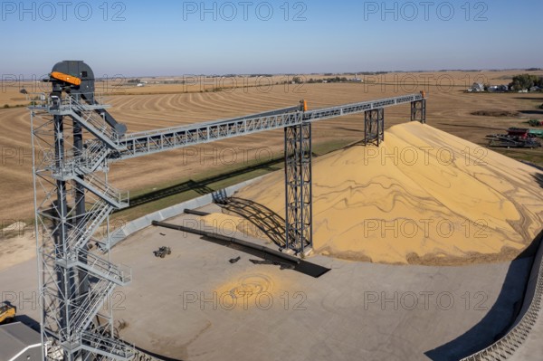 Inwood, Iowa - Newly-harvested corn is piled up at Cooperative Farmers Elevator (CFE). The pile