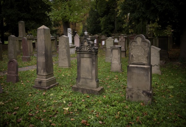 Gravestones, grave, graves, Israelite, Jewish cemetery, Hoppenlauf cemetery, oldest preserved