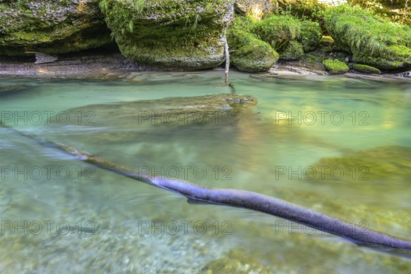 Erlauf Gorge, Purgstall an der Erlauf, Lower Austria, Austria