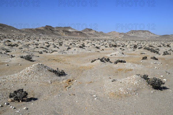 Diamond mining mound in the desert sand at the beginning of the 20th century, Pomona, restricted