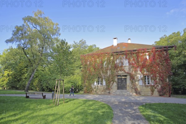 Buildings with ivy in autumn, autumn colours, plant growth, Fürstengarten, Hechingen, Swabian Alb,