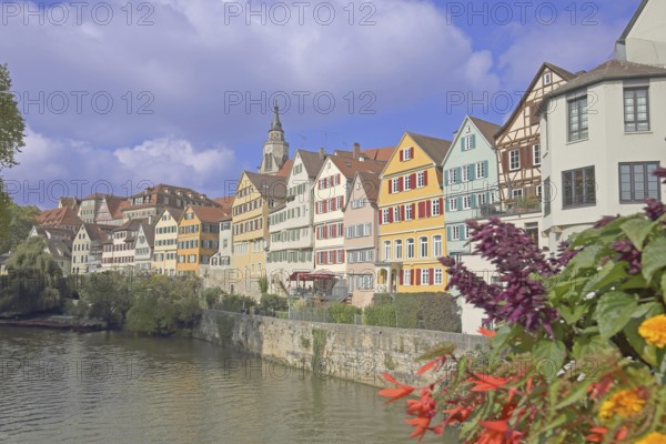 Colourful house front on the Neckar, house facade, Neckar bank, Neckar front, flower decoration,