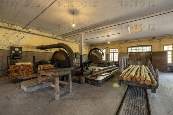 Historic circular saws and tree trunks, former paper factory and mill for the production of