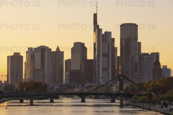 The trees on the banks of the River Main glow with autumnal colour in the light of the evening sun,