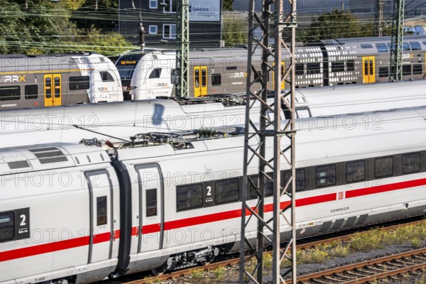 ICE trains on the railway line, RRX, Rhine-Ruhr-Express, regional train, north of Düsseldorf main