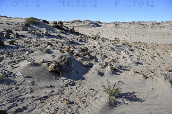 Wüstenlandschaft bei Pomona, Diamentensperrgebiet, bei Lüderitz, Region Karas, Namibia