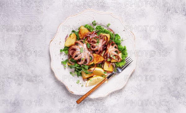 Grilled octopus with baked potatoes and fresh herbs, on a decorative light plate, homemade, no