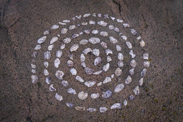 Shell mandala, circle made of shells on a granite rock, Bohus granite, Resö island, Bohuslän,