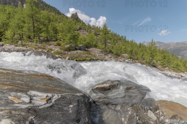A rushing river cascades over smooth stones, surrounded by lush green trees and majestic mountains.