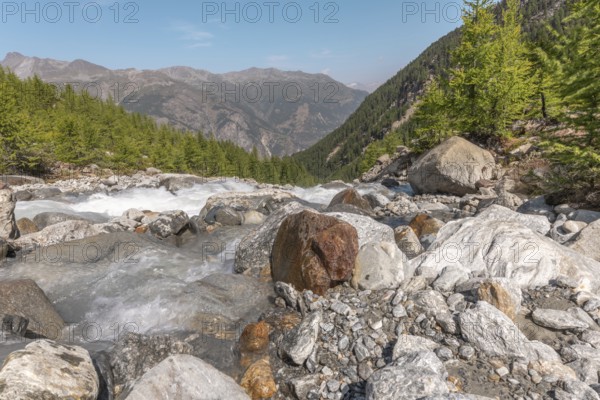 A calm river cascades over smooth stones, surrounded by a lively forest and majestic mountains in