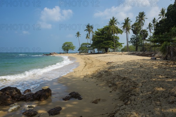 Sandy beach beach and coconut palms, Secret Beach, Sala Dan, Ko Lanta, Koh Lanta, Krabi Province,