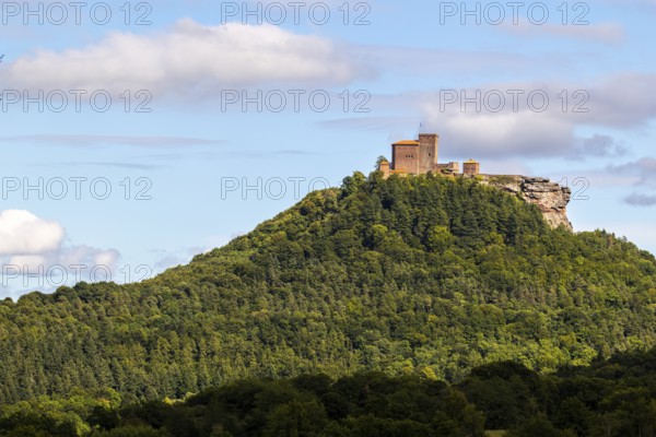 Brug Trifels, Annweiler, mixed forest, sandstone rock, Pfläzerwald, Rhineland-Palatinate, Germany
