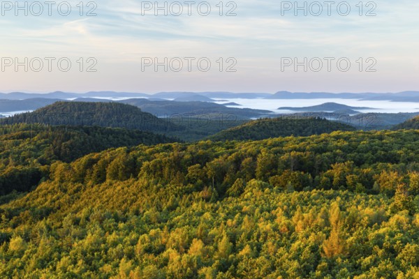 View over the Palatinate Forest, mixed forest, dawn, fog, Luipoldsturm, Hermansbergdorf,