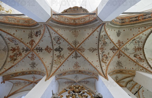 Vault, star vault, cross-ribbed vault, six-part, St Mary's Church, also known as St Mary's Church,