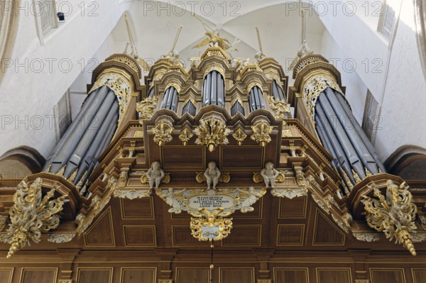 Stellwagen organ, built 1653-1659 by Friedrich Stellwagen, Baroque, St Mary's Church, also known as