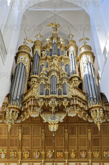 Stellwagen organ, built 1653-1659 by Friedrich Stellwagen, Baroque, St. Mary's Church, also known