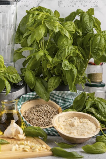 Basil next to a blender, with bowls full of pesto ingredients such as sunflower seeds, garlic and
