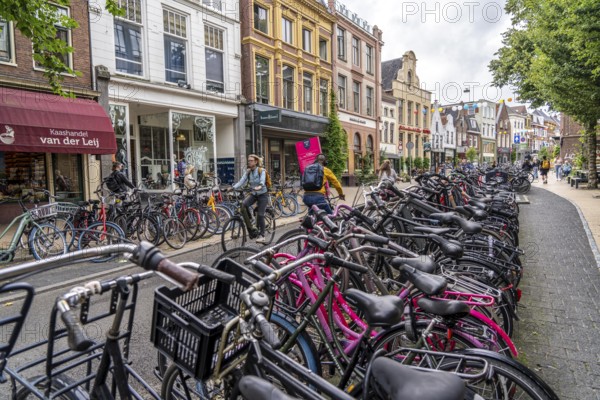 Ride your bike in the city centre of Groningen, old town, designated areas where bikes may be