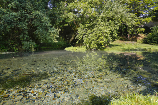 Lauter spring, Große Lauter, karst spring, body of water, park, idyll, meadow, lawn, trees,
