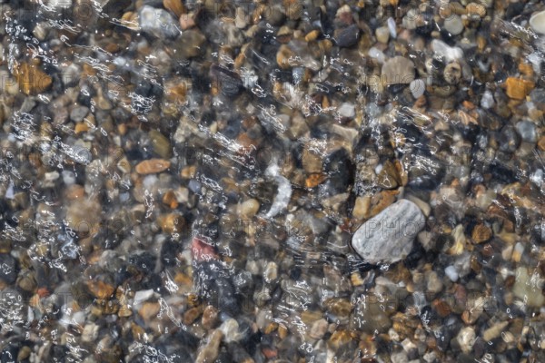 Colourful, smooth pebbles under a clear water surface, North Sea, Denmark