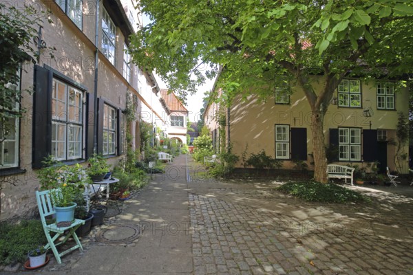 Idyllic Füchtingshof with flower decoration, chairs, plants, flowers, backyard, decoration, idyll,