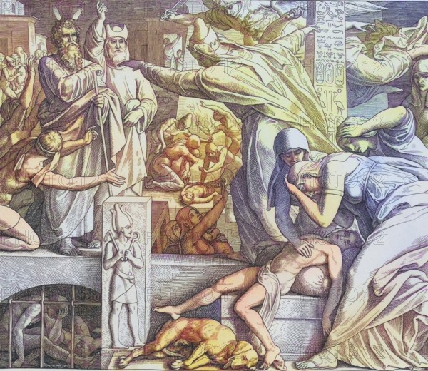 Biblical History, The Killing of the Firstborn of Egypt, digitally enhanced reproduction of a wood