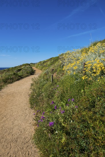 Picturesque hiking trail on the coast, Sentier du littoral, Cap Taillat, Saint Tropez, Var, French