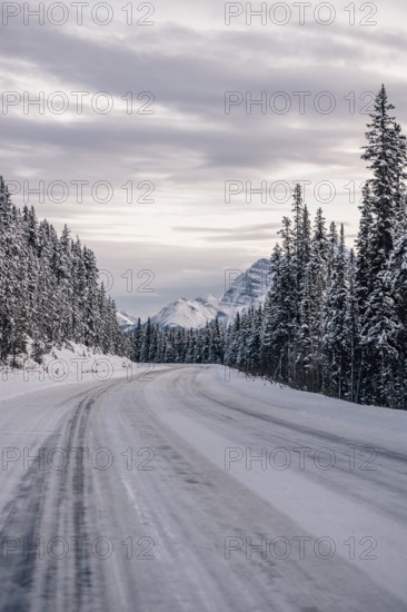 Winter road trip on the Icefields Parkway with lots of snow and ice, Banff National Park, Jasper