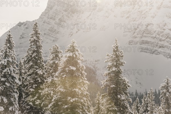Winter road trip on the Icefields Parkway with lots of snow and ice, Banff National Park, Jasper