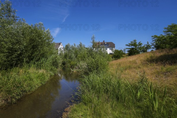 Recklinghausen, North Rhine-Westphalia, Germany - Renaturalised Hellbach, renaturalised