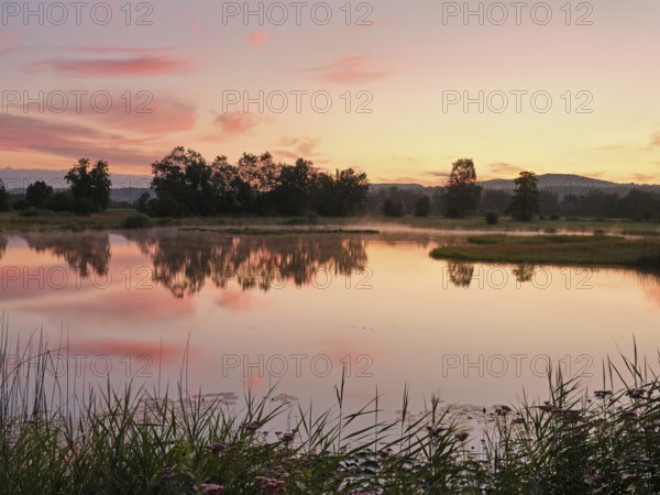 Morning atmosphere at a pond in the Schoren nature reserve, Mühlau, Freiamt, Canton Aargau,