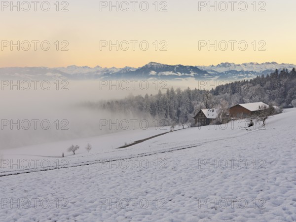 Farm in a freshly snow-covered landscape, behind the Alps with Rigi, Horben, Freiamt, Canton