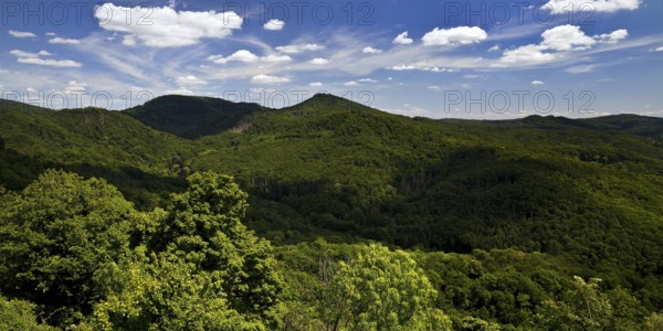 Siebengebirge, low mountain range on the right bank of the Rhine, Königswinter, North