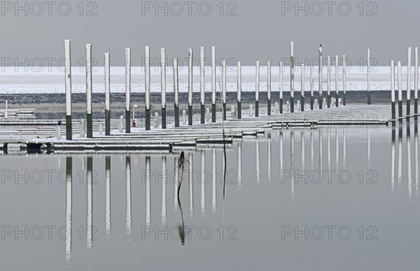 Winter day, onset of winter, snow on the jetties in the marina, North Sea, Norddeich, Lower Saxony,